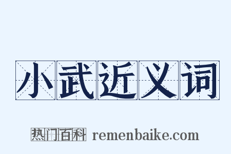 小武近义词是什么意思的图片